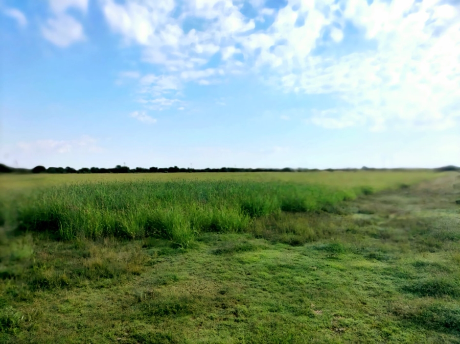 3 Bedroom Property for Sale in Bloemfontein Rural Free State